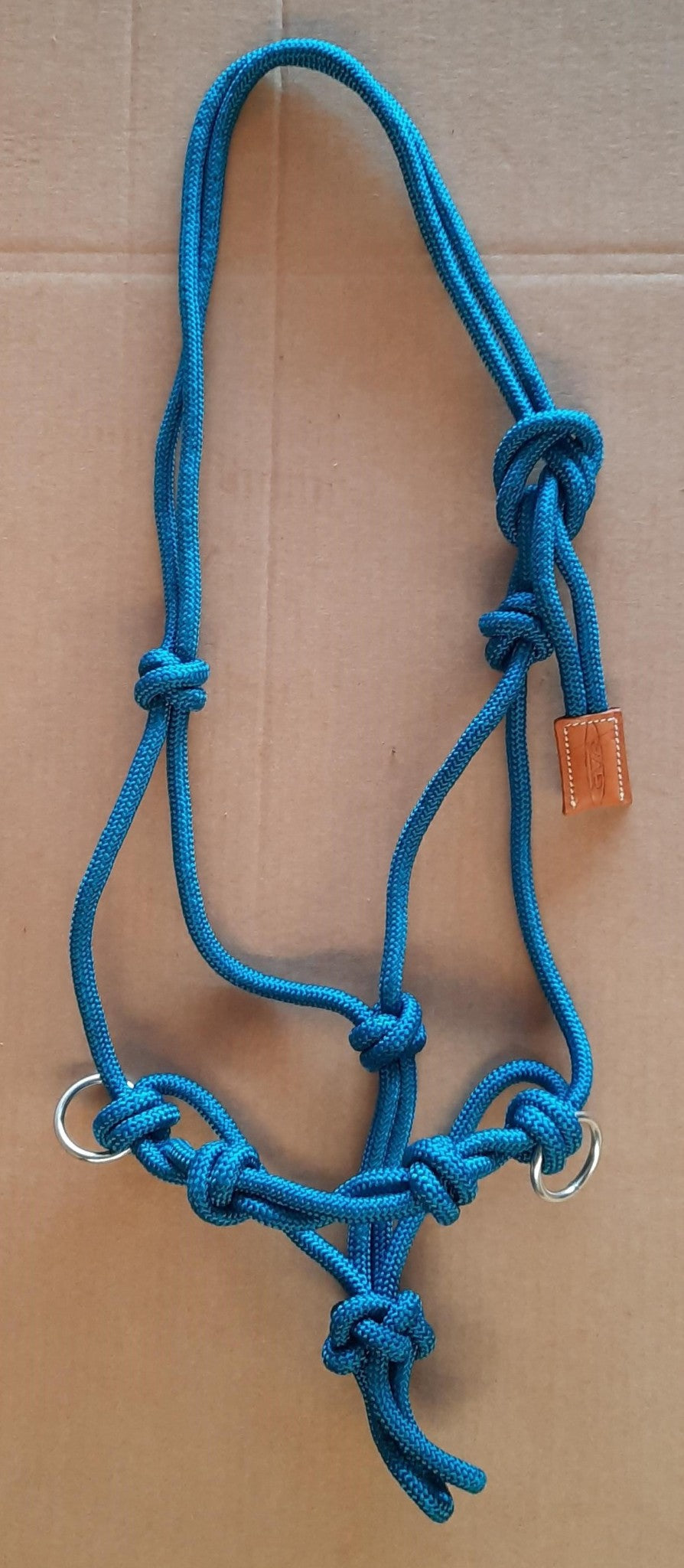 Lasso halster