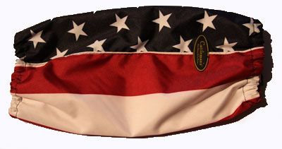 Laars cover