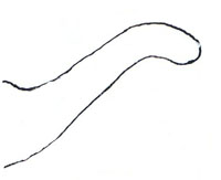 Shank All-round