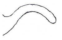 Shank oxbow