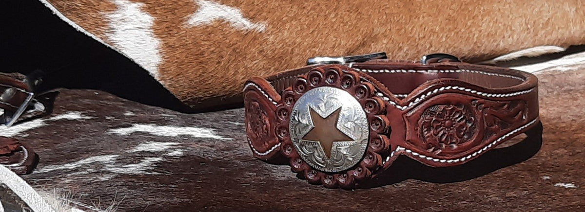Dog collar
