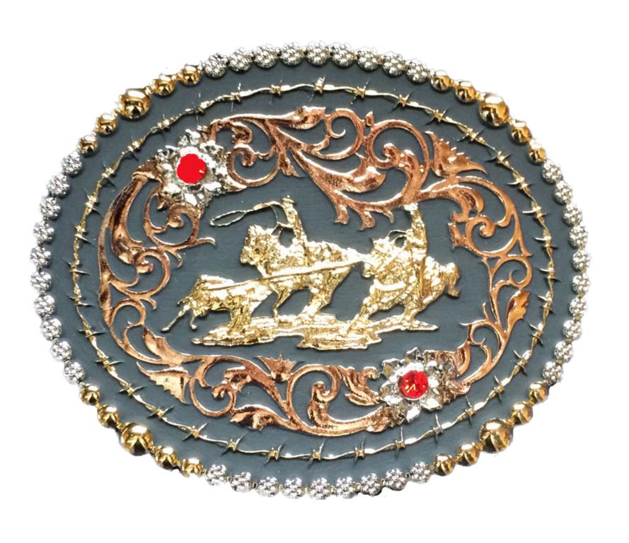 Zilver oval team lassor tri-kleur