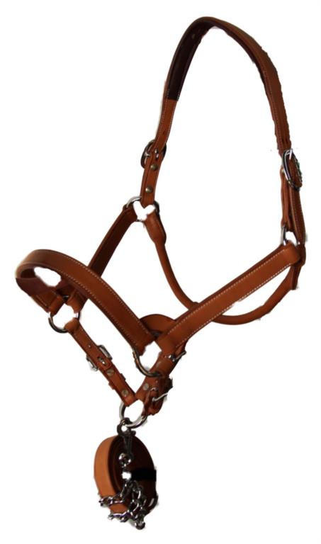 Leder halster Yearling